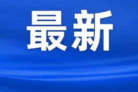 打通武汉咸宁快速通道关键节点，天子山大桥让武咸车程缩短至1小时图片