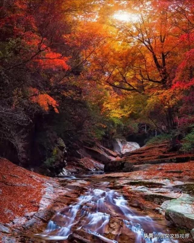 穿越米仓红枫，探秘巴山大峡谷：秦巴山脉里的秋日秘境与千年巴韵
