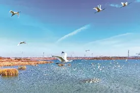 超养眼！看，合肥绝美画卷！图片
