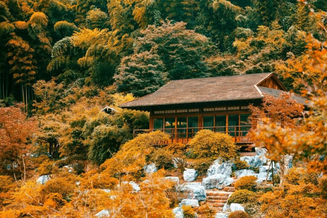 杭州出发1小时，十月是它最美的时候！下渚湖的百日菊、翠芦莉、粉黛、芦苇要开了