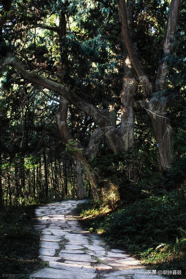 退休后才发现的宝藏地！凤县深度游全攻略，错过拍大腿！