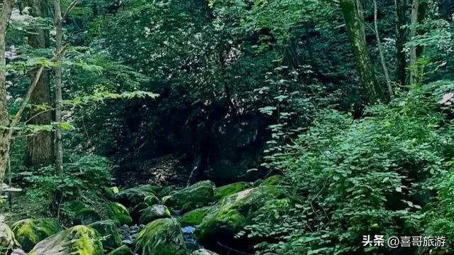 黑龙江香炉山国家森林公园：冰城之畔的原始秘境