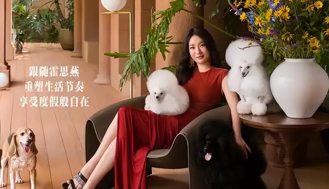 霍思燕北京的家似庄园，奢华的令人咂舌，父母双亡养一堆宠物感藉