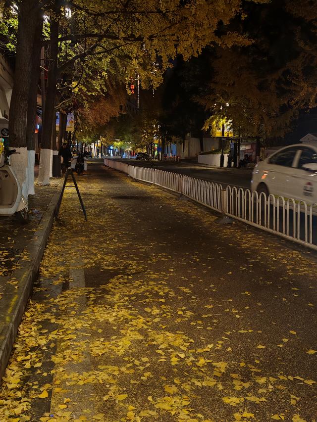 当春城夜色遇银杏金黄！昆明这处夜景观赏地，美到窒息→