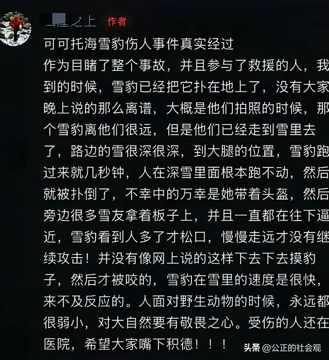 可可托海雪豹伤人航拍图曝光！铁证打脸当事人说法，这下辩无可辩