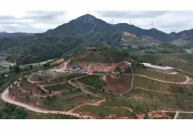 【龙岩迎龙年 干好每一天·一线访谈】 漳平市永福镇：聚力“三争”行动 绘好高质量发展新图景图片