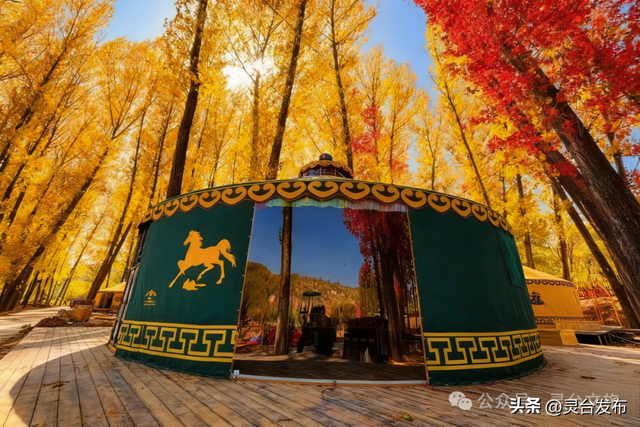 灵台A级景区全攻略，邀您共赴一场冬日康养之约