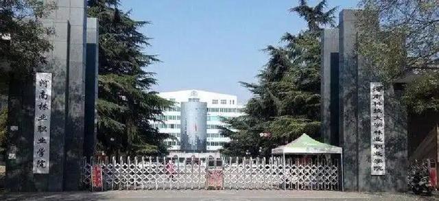 河南省大专排名：平职学院第4	，城院第13，河南林业职业学院第61
