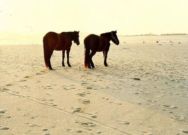 举办庖牛宴的临湘全貌