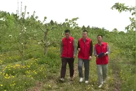 聚焦人工智能科技！“吉林省科普教育基地”再添新成员图片