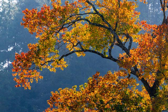 大别山中徐凤冲