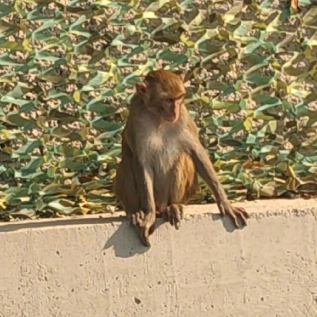 69岁老汉挑战5.5公里的环山步道，结局让人意想不到