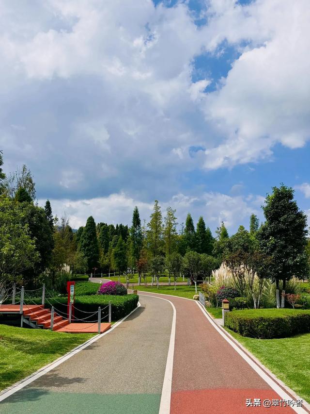 后悔来晚了,地铁直达的免费宝地,遛娃拍照绝佳,周末立刻出发。