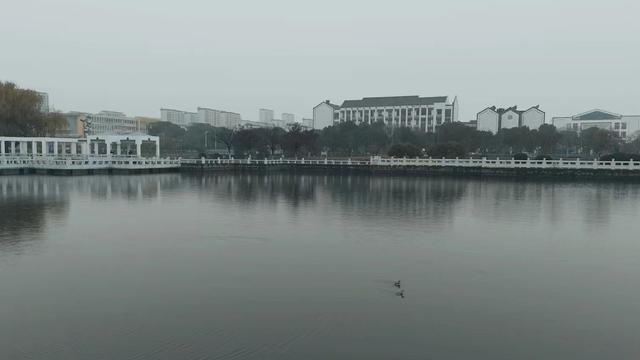 雨后的胜浦也太绝了！河流清透、公园藏景，还有野鸭戏水太治愈了