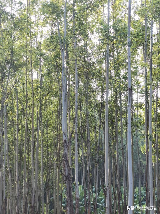 从福建漳浦到广东饶平 蜜柚真甜 双龙连续三年千里骑双骑9