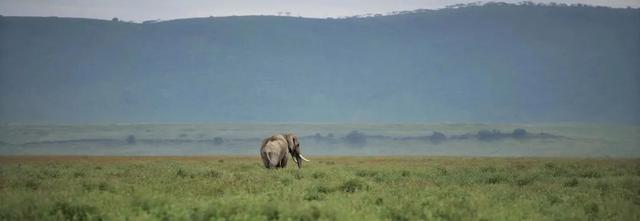 2026封神旅行清单！非洲五国（南非/东非）23天狂野之旅，太顶了