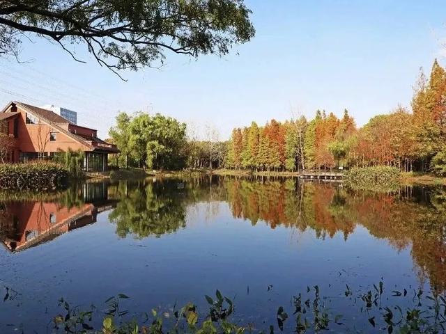 解锁环城生态公园带多元功能，让绿色空间更可感、可触、可享！