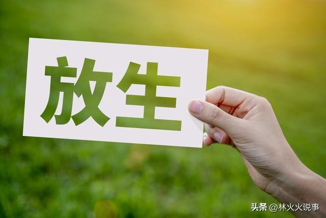 今日闰六月初八是"吉日",老话“初八做6事，安康福气多”,指哪6事