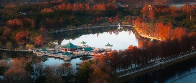 湖北小众秋色段位榜：这6条宝藏路线，让你独占整个秋天！