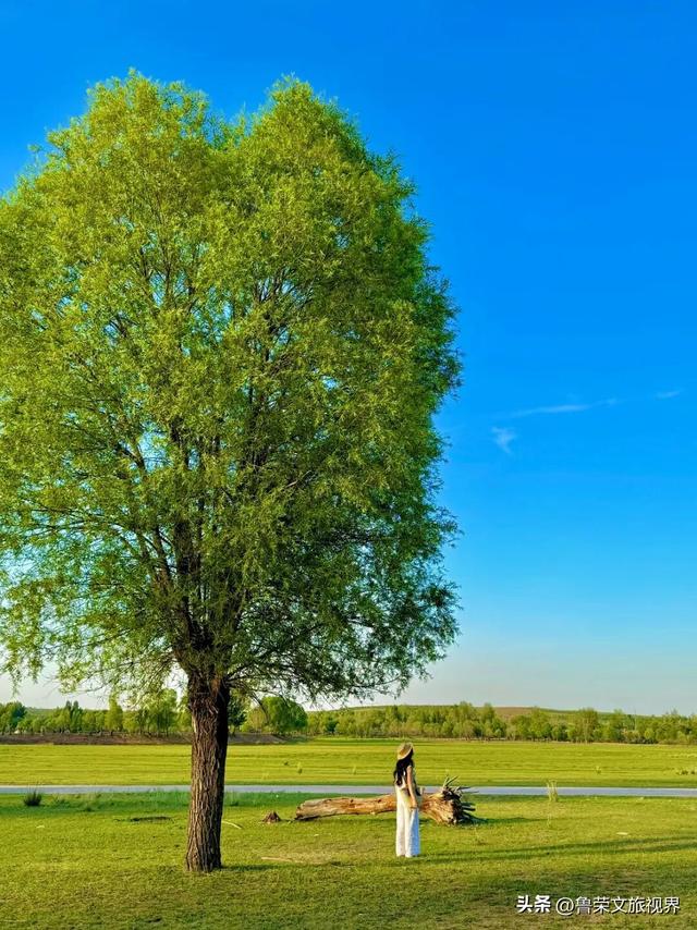 低调的财富绿洲：解锁鄂尔多斯的秘境之旅