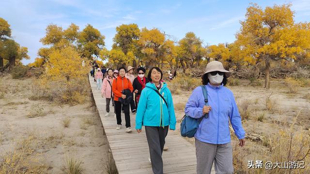 2025国庆西北自驾游（3）：黑城弱水胡杨风景区