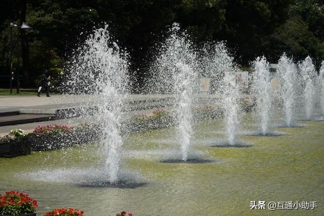 50mm起步的超远摄变焦!腾龙“50-400mm F/4.5-6.3 Di III VC VXD”评测