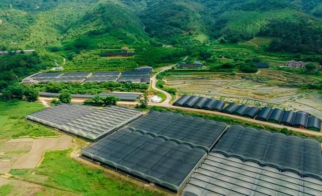 前锋三九银田南药园正式上线“乐游广东”文旅地图！