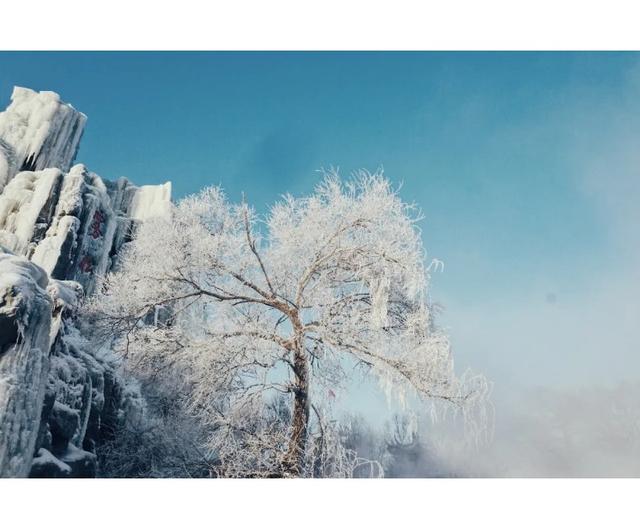 浙江学生放假为什么更愿意去吉林？