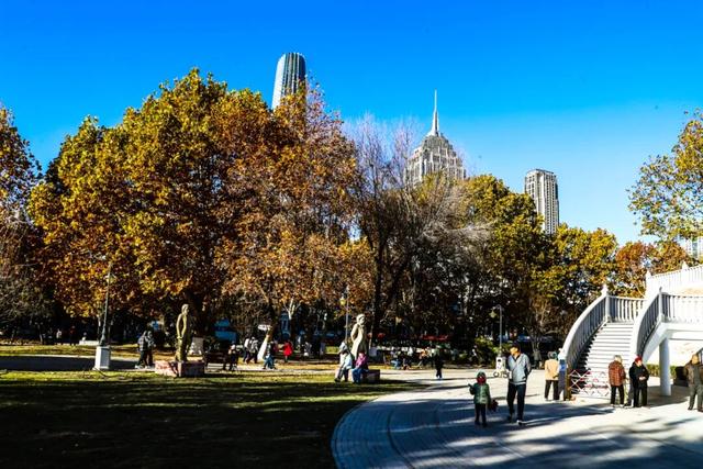 初冬的这座公园——这么静 那么美