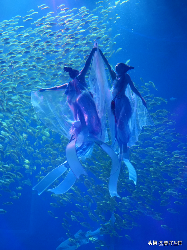 梅沙“隐藏副本”上线，这份2.0通关攻略请收好