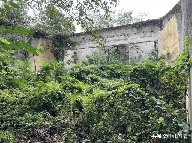 重庆小镇电影院的消失，预示着再也走不出伟大的导演了