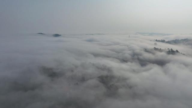 晨雾漫卷凌云山 “醉美”仙境入画来