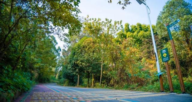 彭州这条“世界级”徒步线，走起！