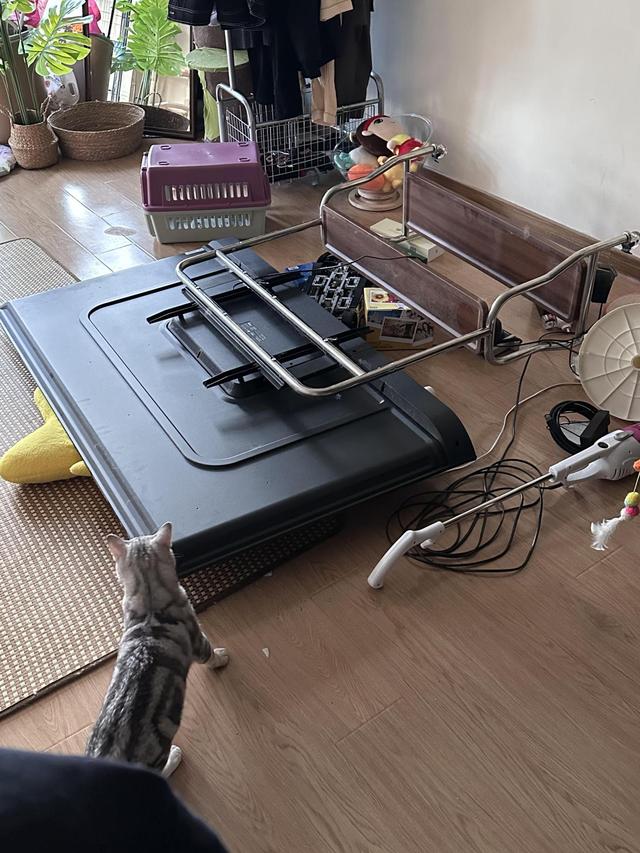 装修最后悔的，就是跟风买了“移动电视”，是真的不实用，智商税