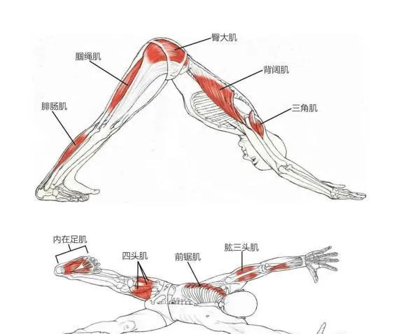倒立是最高级的保养，每天5分钟	，坚持半年，脸上的皱纹真的淡了