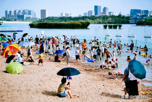 政见 | 宁夏，可塞上、可江南，看你怎么“搭”