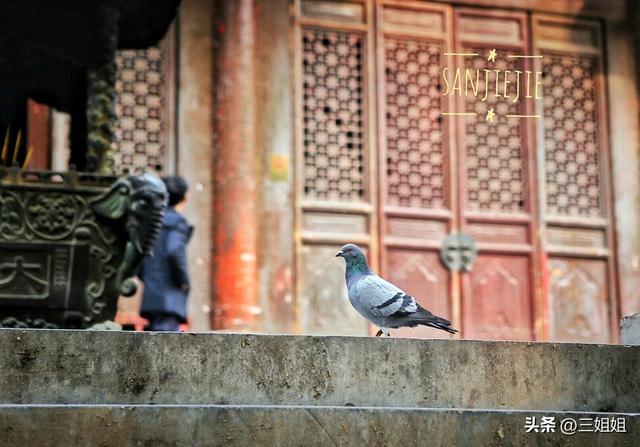 冬日少林寺 寂寞禅静能否