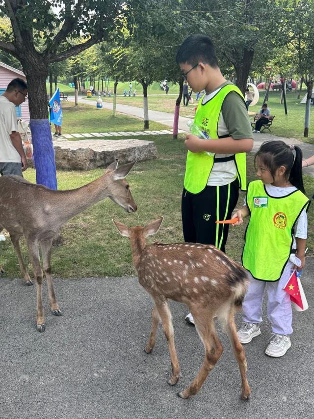 多彩滨州迎双节 文旅好礼乐不停│山东文旅·鑫诚田园“绿野画中游”艺术嘉年华启幕，共绘国庆生态画卷