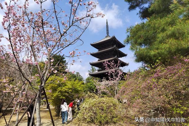 日本京都：走进仁和寺