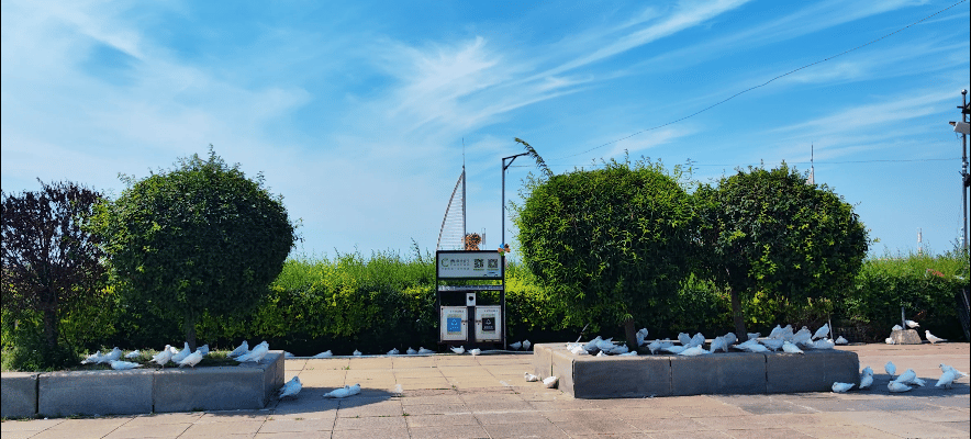 20250825-20250826南戴河过辽宁锦州葫芦岛到营口鲅鱼圈南沱岛
