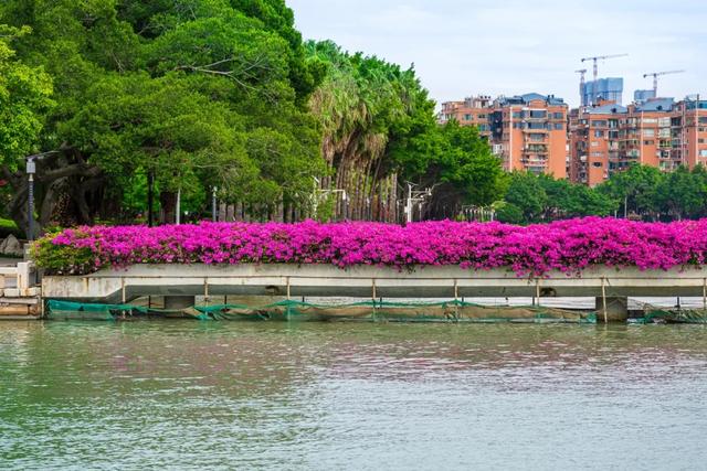 厦门又一网红出片点位,上新!美成偶像剧取景地→