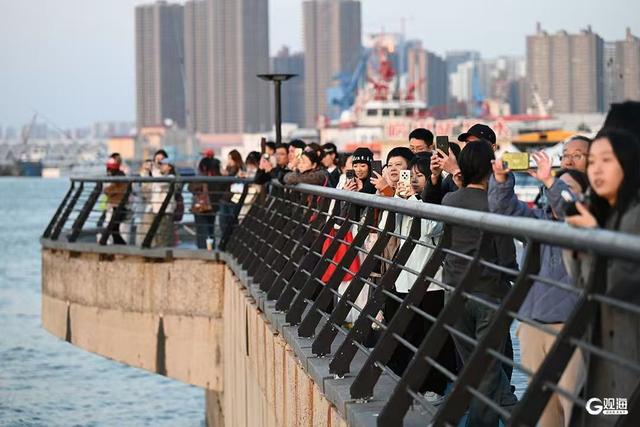 秋日青岛的浪漫，藏在“橘子海”的日落里