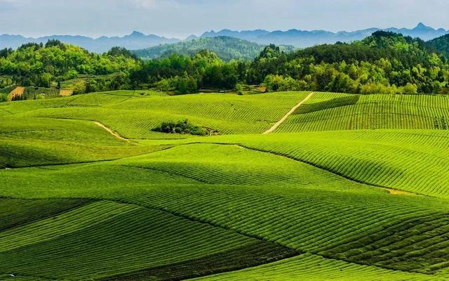 跟着赛事游遵义 | 山水疗愈之旅，藏着最治愈的慢生活！
