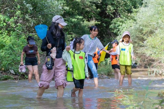 照金第二届观星露营开启招募，抓住暑假的尾巴，解锁微凉夏日
