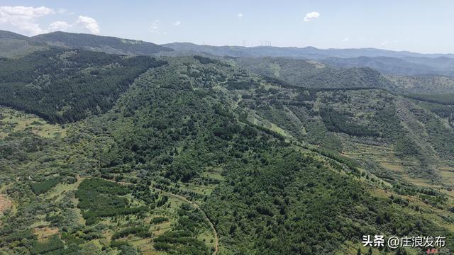庄浪朝那湫避暑庭院：政企协同打造文旅新标杆