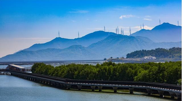 12.12开幕！品鲜蚝、逛湿地、抽温泉票，铁涌农文旅盛宴喊你打卡