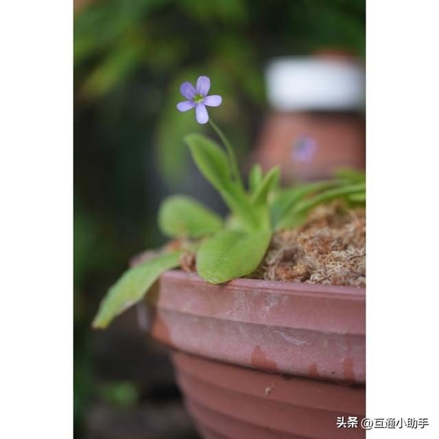 选索尼还是适马？E卡口大光圈长焦变焦镜头巅峰对决！