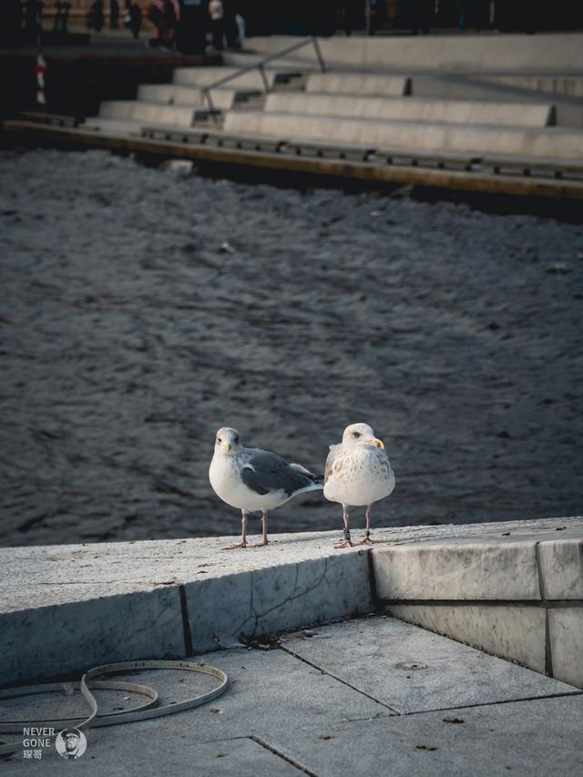 Oslo city walk 二刷挪威首都奥斯陆