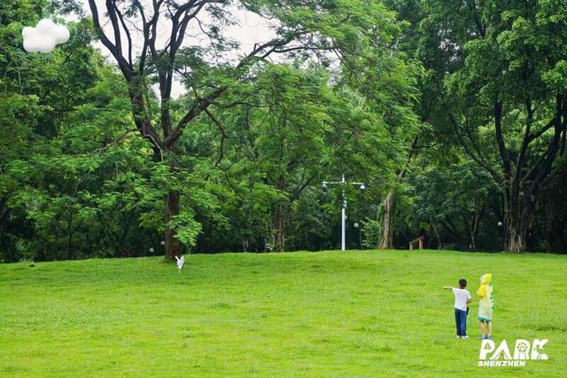 解锁公园的“N种打开方式”，一起来夏令营吧！