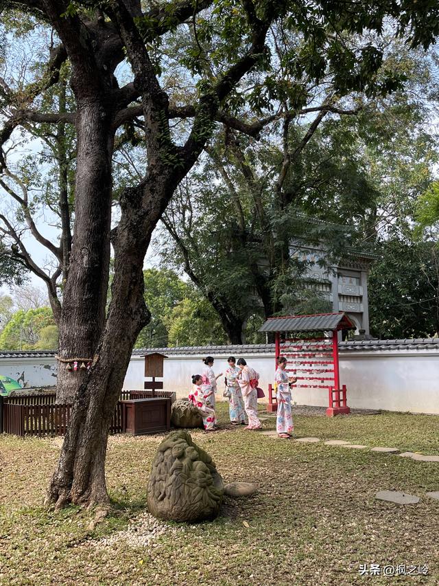 台湾游记：嘉义印象
